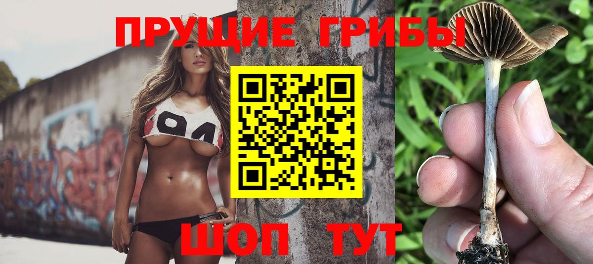 Псилоцибиновые грибы мицелий  Псилоцибиновые грибы ЛСД  Вход с VPN  Новотроицк 